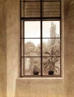 Window Looking over the Park