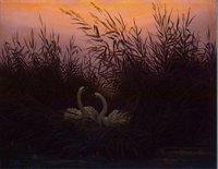 Swans in the Reeds