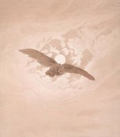 Owl Flying against a Moonlit Sky