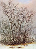 Trees under the Snow
