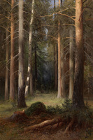 A Pine Grove
