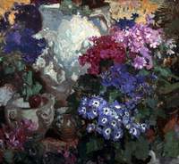 Cinerarias