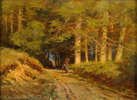 Forest Landscape