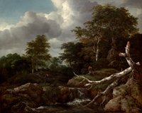 A Forest Scene