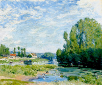 The Duck Pond