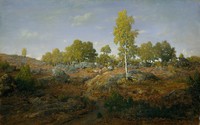 A Path Among the Rocks