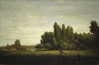 A Meadow Bordered by Trees