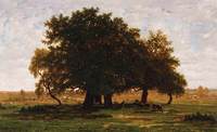 Oak Grove, Aprement