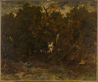 Leaving the Forest of Fontainebleau, Setting Sun