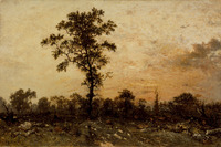 Edge of the Forest, Setting Sun
