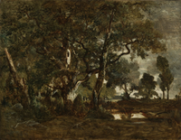 Cluster of Tall Trees Overlooking the Plain of Clair-Bois, Forest of Fontainebleau