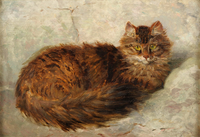 The Cat
