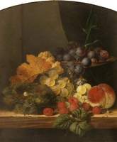 Still Life with Fruit and a Bird's Nest