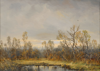 Lakelands