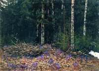 Spring in the Forest
