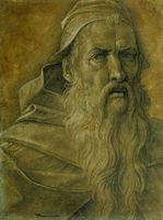 Head of an Old Bearded Man