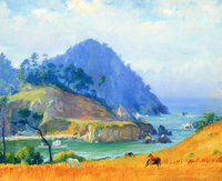 Smuggler's Cove, Point Lobos