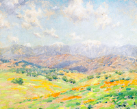 Fields of Wildflowers with the San Gabriel Mountains beyond