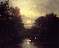 Sunset over the Forest