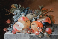 Still Life