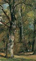 Avenue of Trees