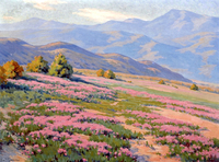 Wild Verbena, near Palm Springs