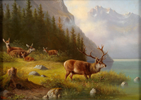 Deer on a Lake