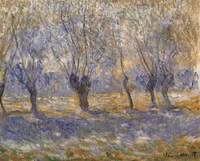 Willows in Giverny