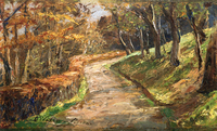 Pathway in Early Spring
