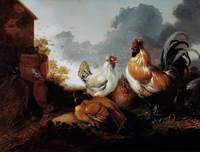 Poultry in a Farmyard