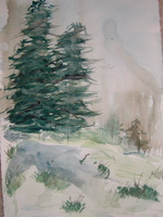 Green Trees in Snow