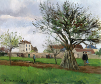 Apple Trees at Pontoise