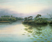 Central Florida Lake Scene