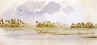 Mouth of the Suwanee River