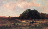 Sunny Landscape