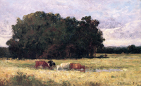 Four Cows in a Meadow