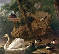 Birds in a Garden