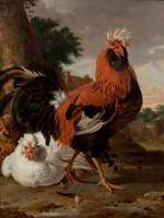 Fowl