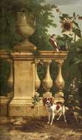 Pigeons and a Dog in a Garden