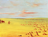 A Prairie Dog Village on the Upper Missouri