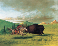 Buffalo Chase