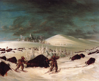 Buffalo Hunt on Snowshoes