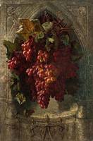 Flame Tokay Grapes