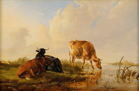 Cattle Grazing on the Riverbank