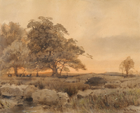 Landscape