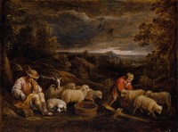 Shepherds and Sheep