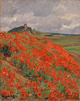 Poppies in Kerpen