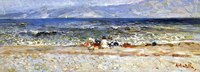 Stormy Sea