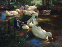 Seven ducks
