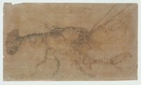 Lobster
